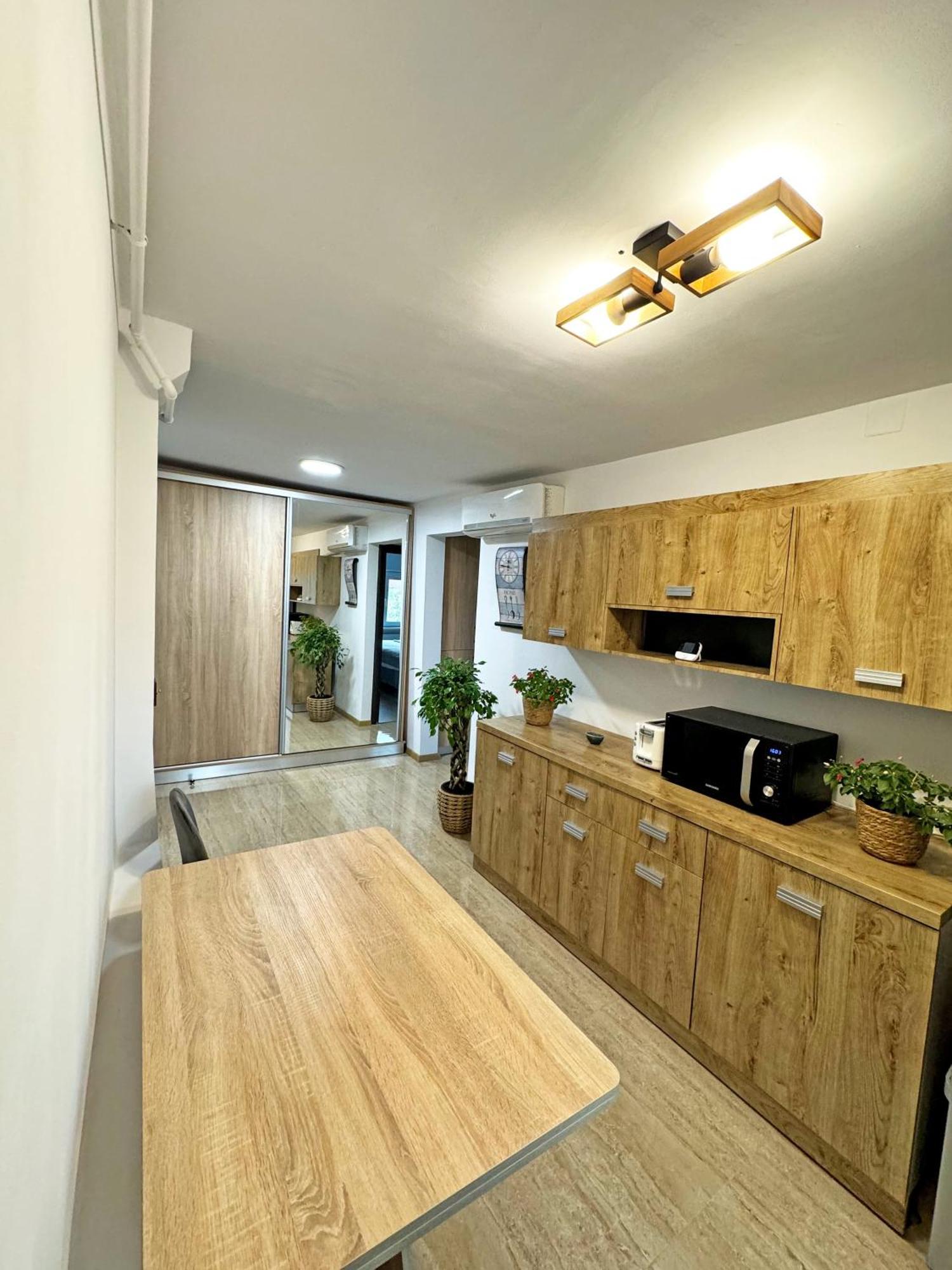 Ultracentral Apartment Тиргу-Жіу Екстер'єр фото